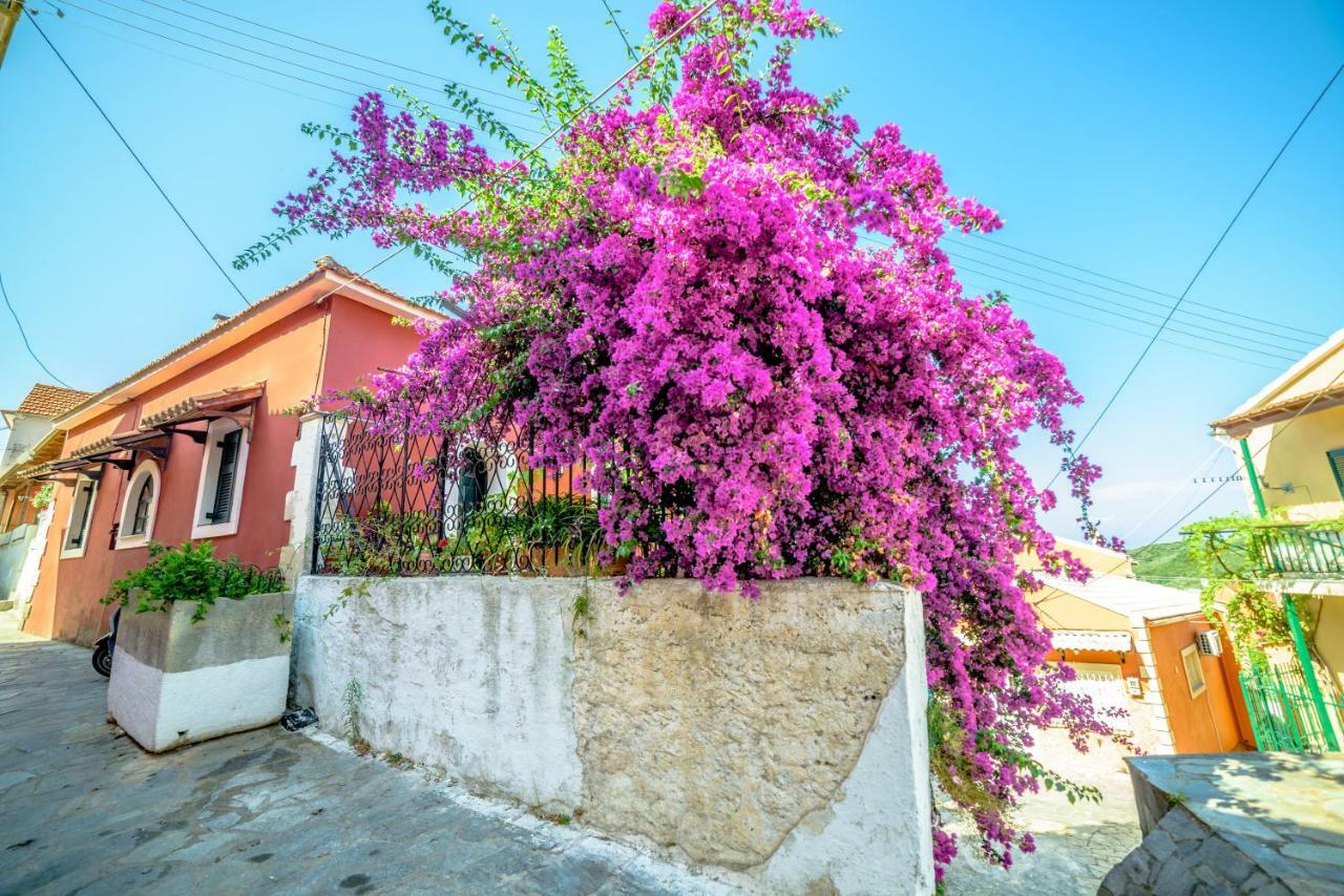 Menecrates Rustic - San Matteo Apartment Ágios Matthaíos Bagian luar foto